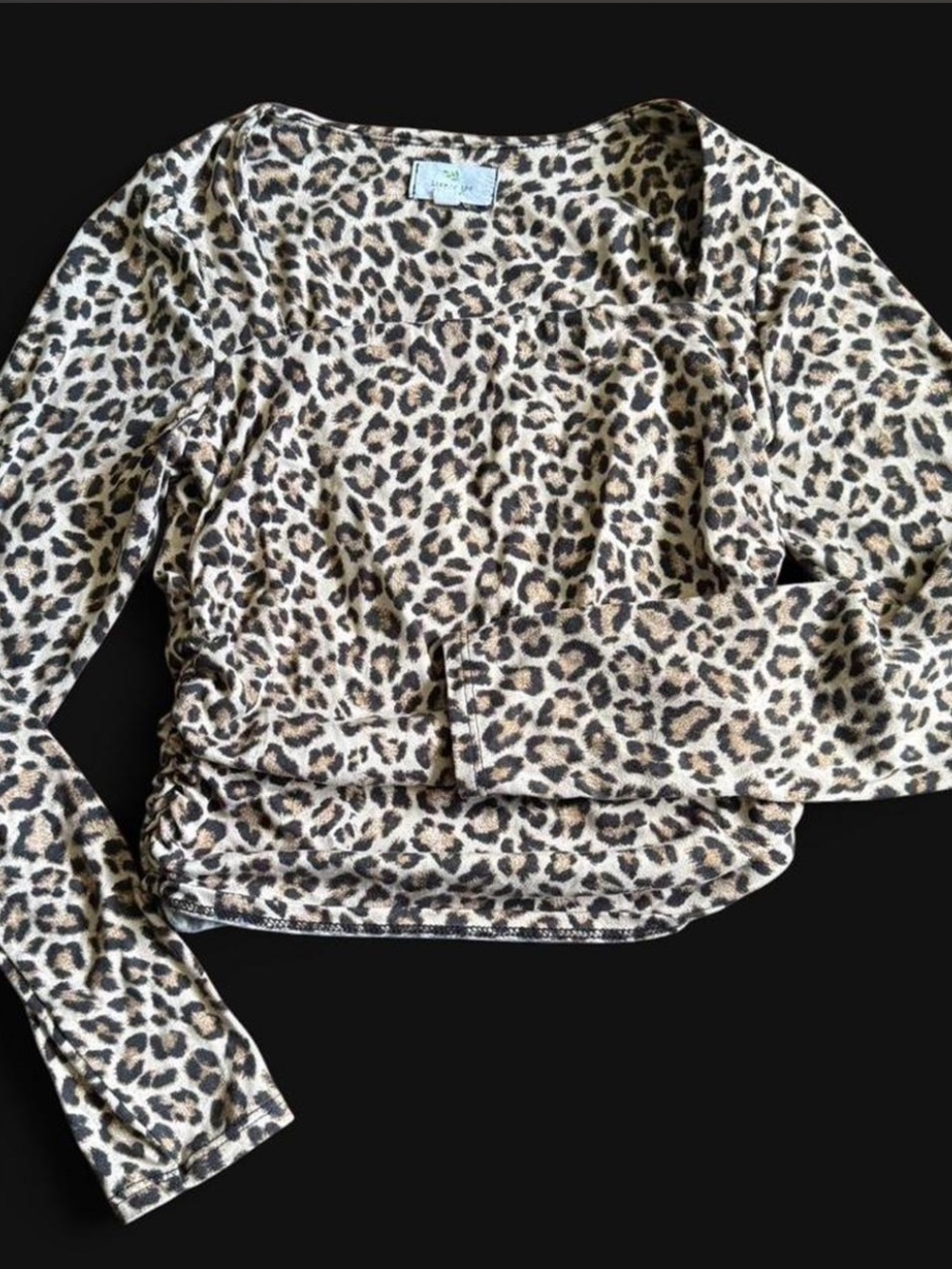 Cheetah print long sleeve crop top Size S